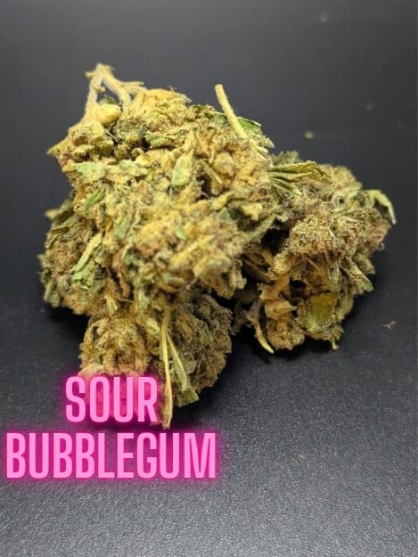 Sour Bubblegum Indica